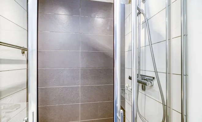 Appartement "Le Boss", Grenoble, HOSTNATION