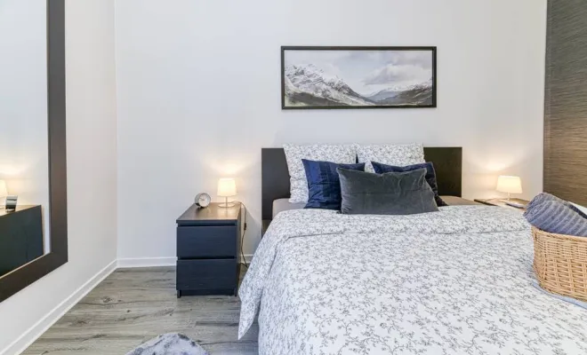 Appartement "Le Boss", Grenoble, HOSTNATION